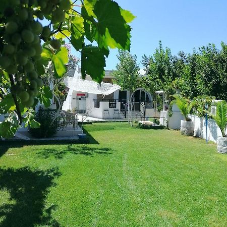 Villa Dina La Canée Extérieur photo